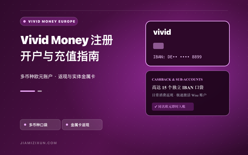 Vivid Money开户与账户使用：适用地区、费用及历史流程